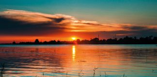 делтата-на-дунав