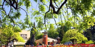 върнячка-баня