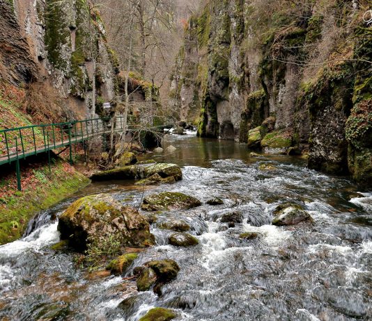 Активен туризъм в Девин и наоколо Край Девин: екопътека Струилица