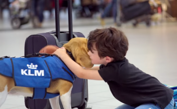 KLM ще намери и ще ви върне изгубените вещи