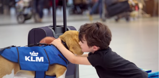 KLM ще намери и ще ви върне изгубените вещи