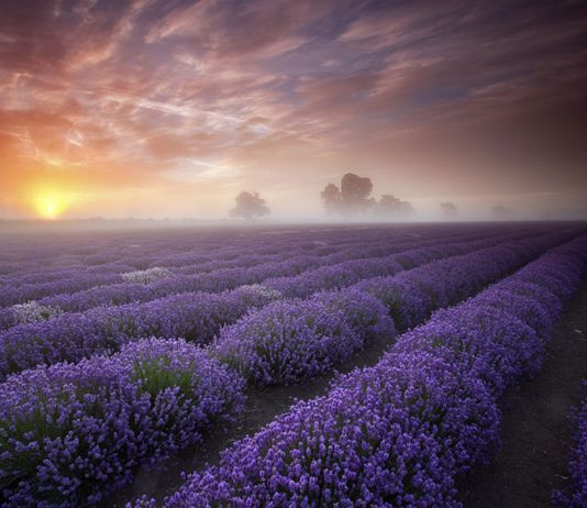 22 невероятни места, за които е трудно да повярваш, че съществуват, но те наистина съществуват! – част 3